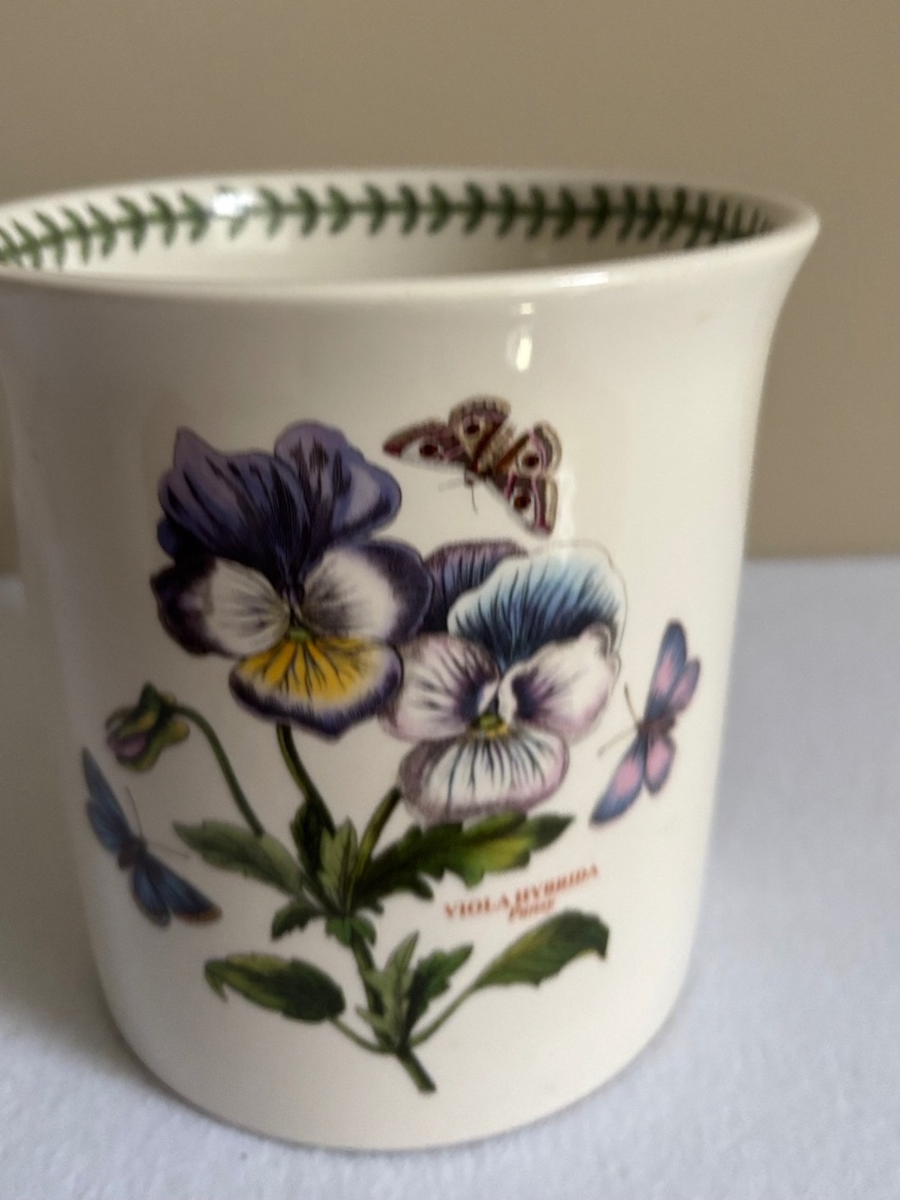 Portmeirion Botanic Garden Utensil Holder